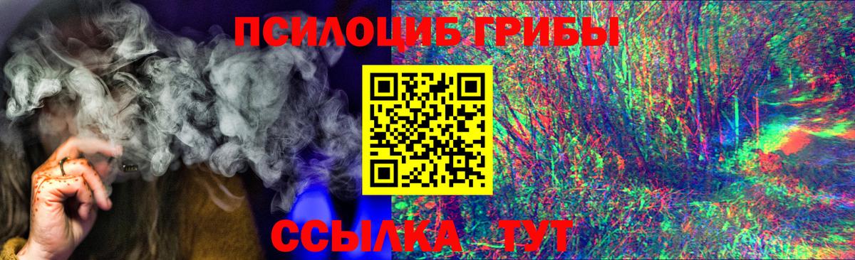 Старый Оскол  Галлюциногенные грибы Cubensis  Вход с VPN 