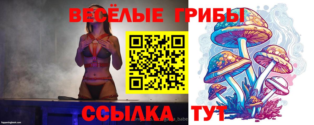 Псилоцибиновые грибы ЛСД Старый Оскол